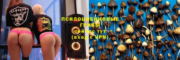 ECSTASY Алексеевка