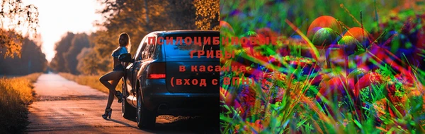 ECSTASY Алексеевка