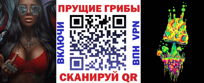mega вход  Асино  Галлюциногенные грибы мицелий 