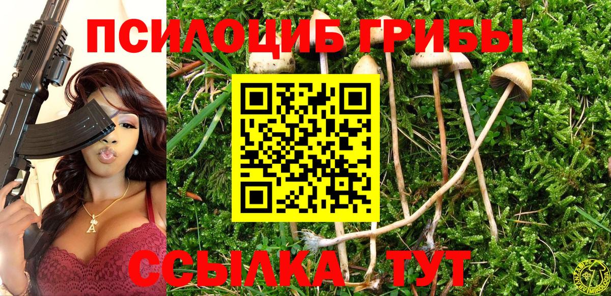 Асино  Псилоцибиновые грибы Magic Shrooms  Вход с VPN  Галлюциногенные грибы GOLDEN TEACHER 