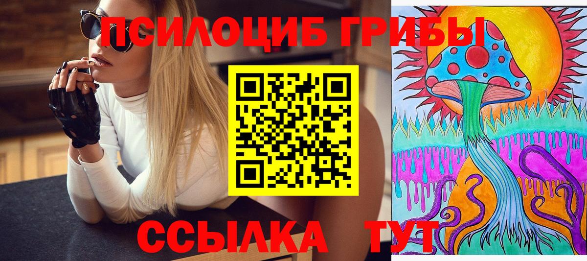 Галлюциногенные грибы мицелий Асино